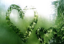 C7娱乐体育：[图]段刘愚破门阿齐兹闪击 青岛西海岸2-0武汉三镇.