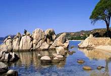 C7娱乐体育：[图]段刘愚破门阿齐兹闪击 青岛西海岸2-0武汉三镇.